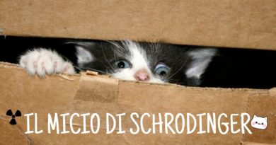 Il micio di Schrodinger