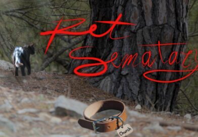 Se la morte è un mistero, la sepoltura è un segreto: Pet Sematary